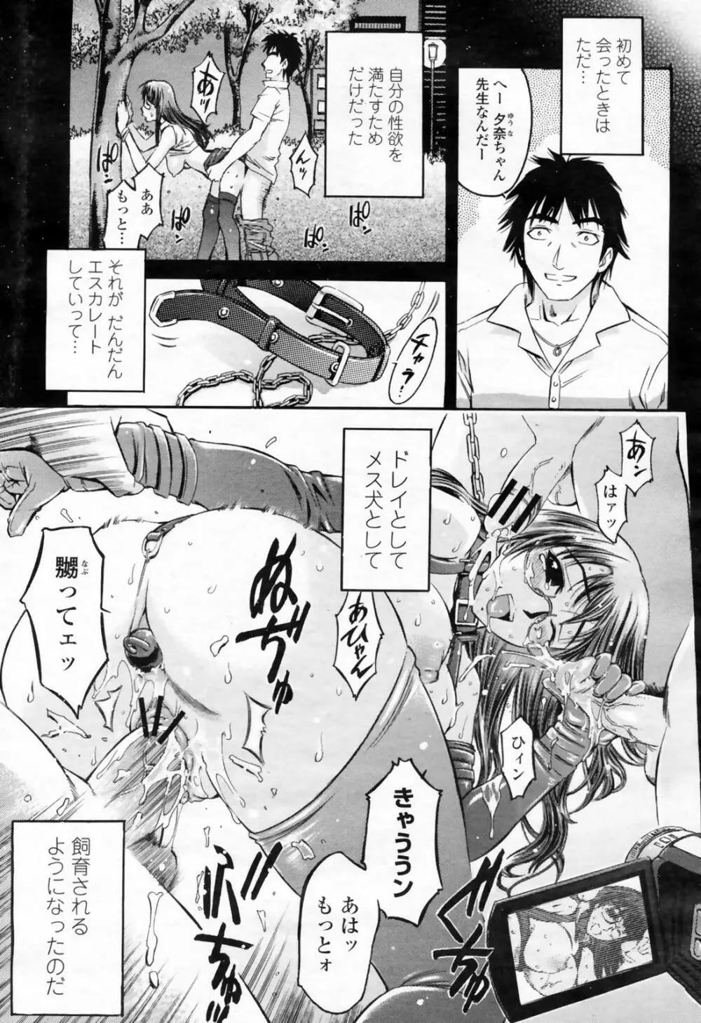 COMIC 桃姫 2009年02月号 337ページ