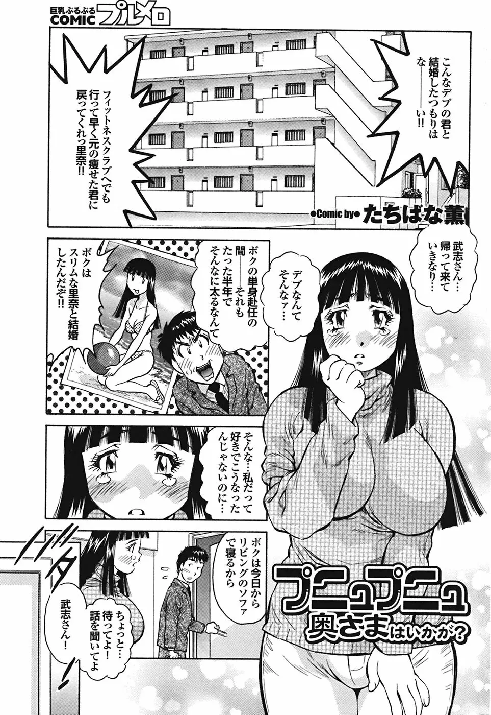 COMIC プルメロ 2009年2月号 vol.26 168ページ