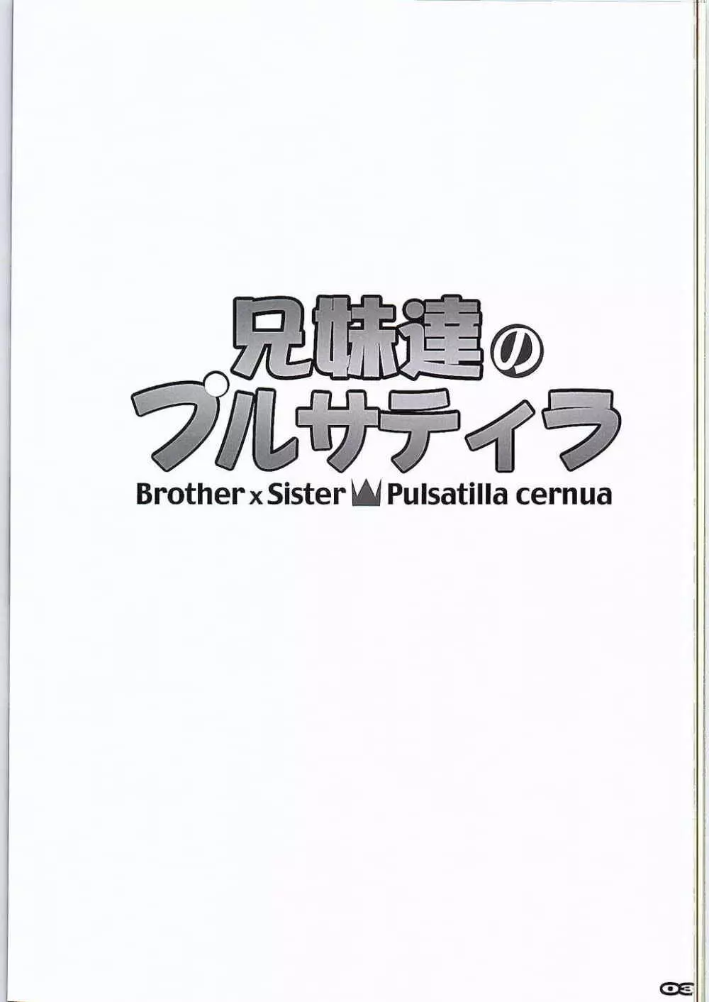 兄妹達のプルサティラ 2ページ