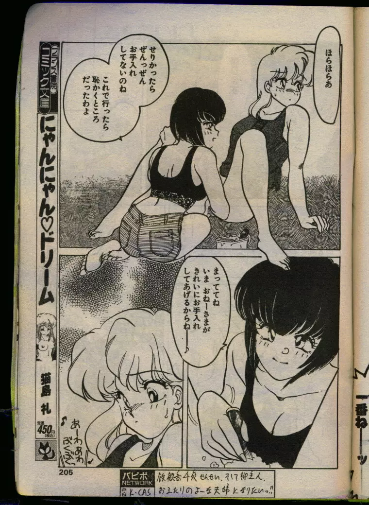 COMIC パピポ 1993年08月号 203ページ