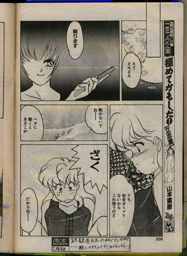 COMIC パピポ 1993年08月号 204ページ