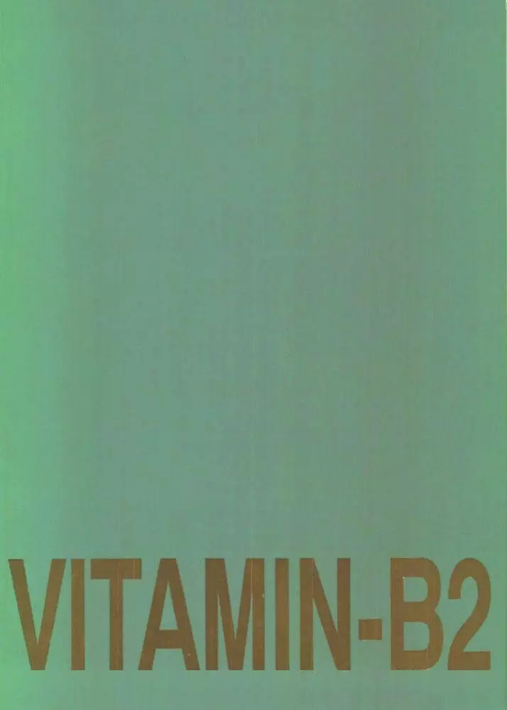 Vitamin-B2 74ページ