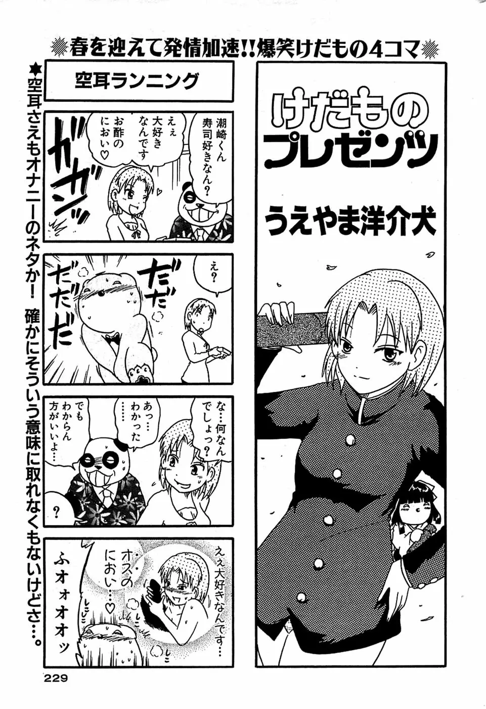 COMIC バズーカ 2008年04月号 229ページ