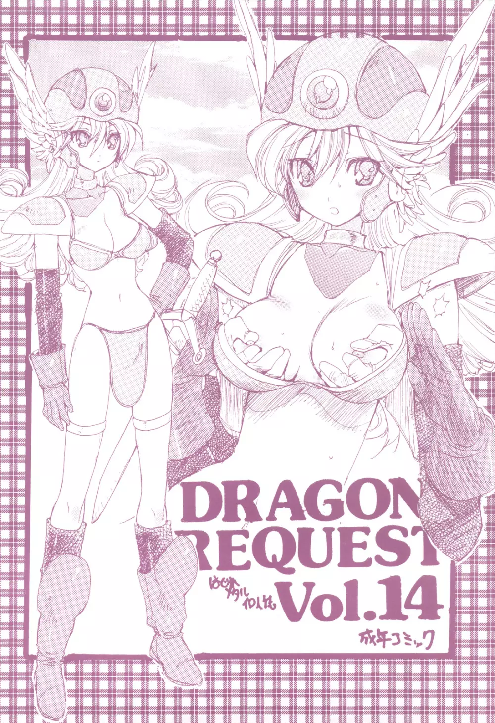 DRAGON REQUEST Vol.14