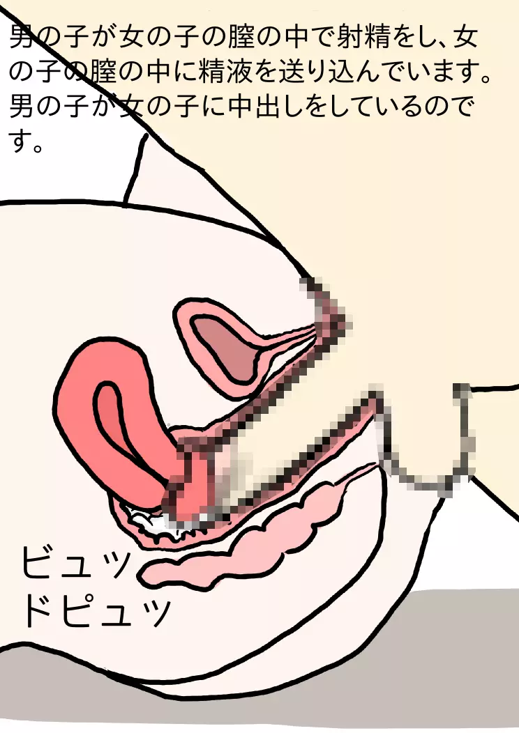 思春期を迎えた男の子と女の子のための絵本・赤ちゃんのつくりかた -とっても気持ちいい中出しセックス- 26ページ