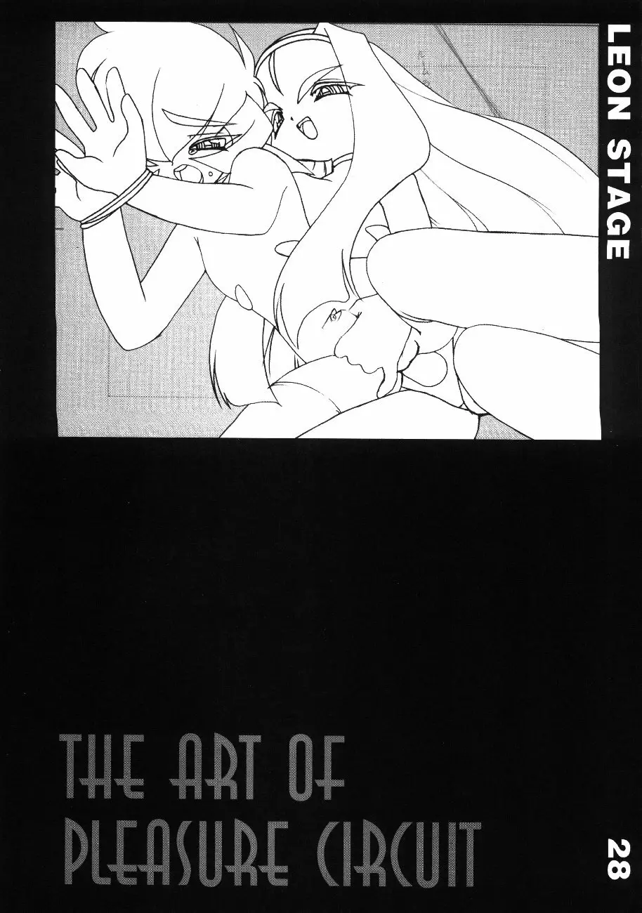 The Art of Pleasure Circuit 29ページ