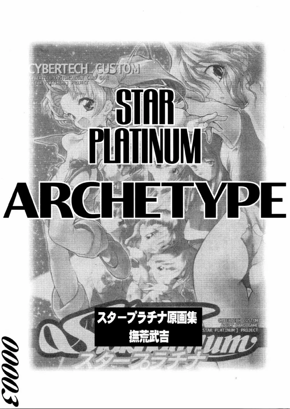 STAR PLATINUM ARCETYPE 3ページ