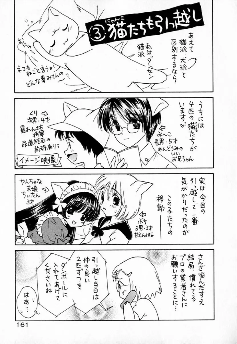 迷宮の薔薇 167ページ