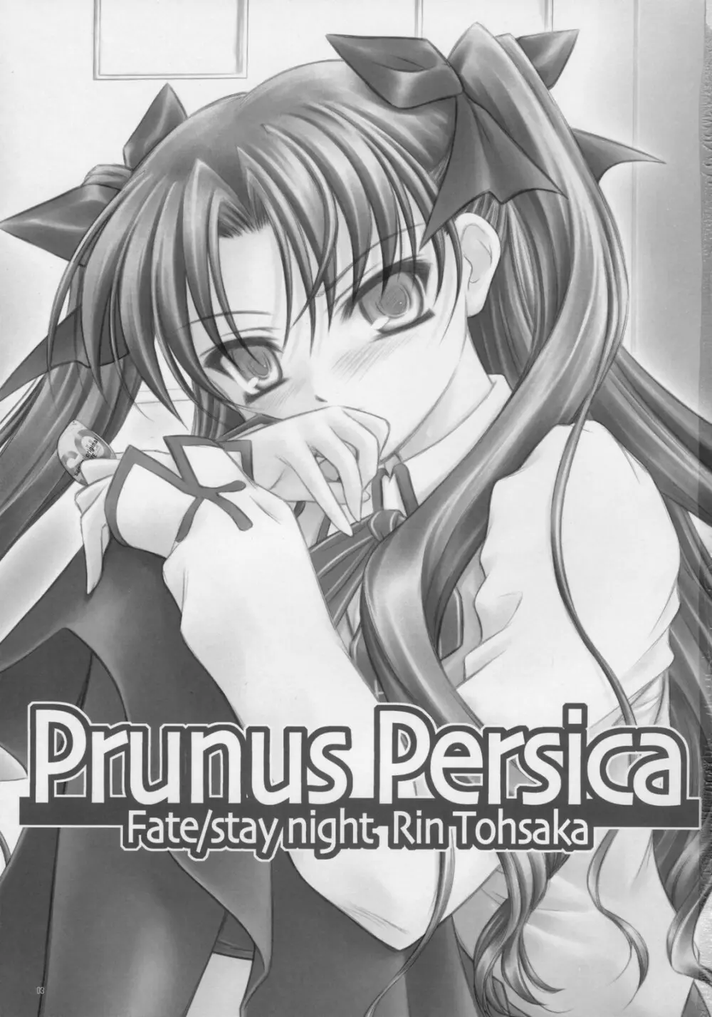 Prunus Persica 2ページ