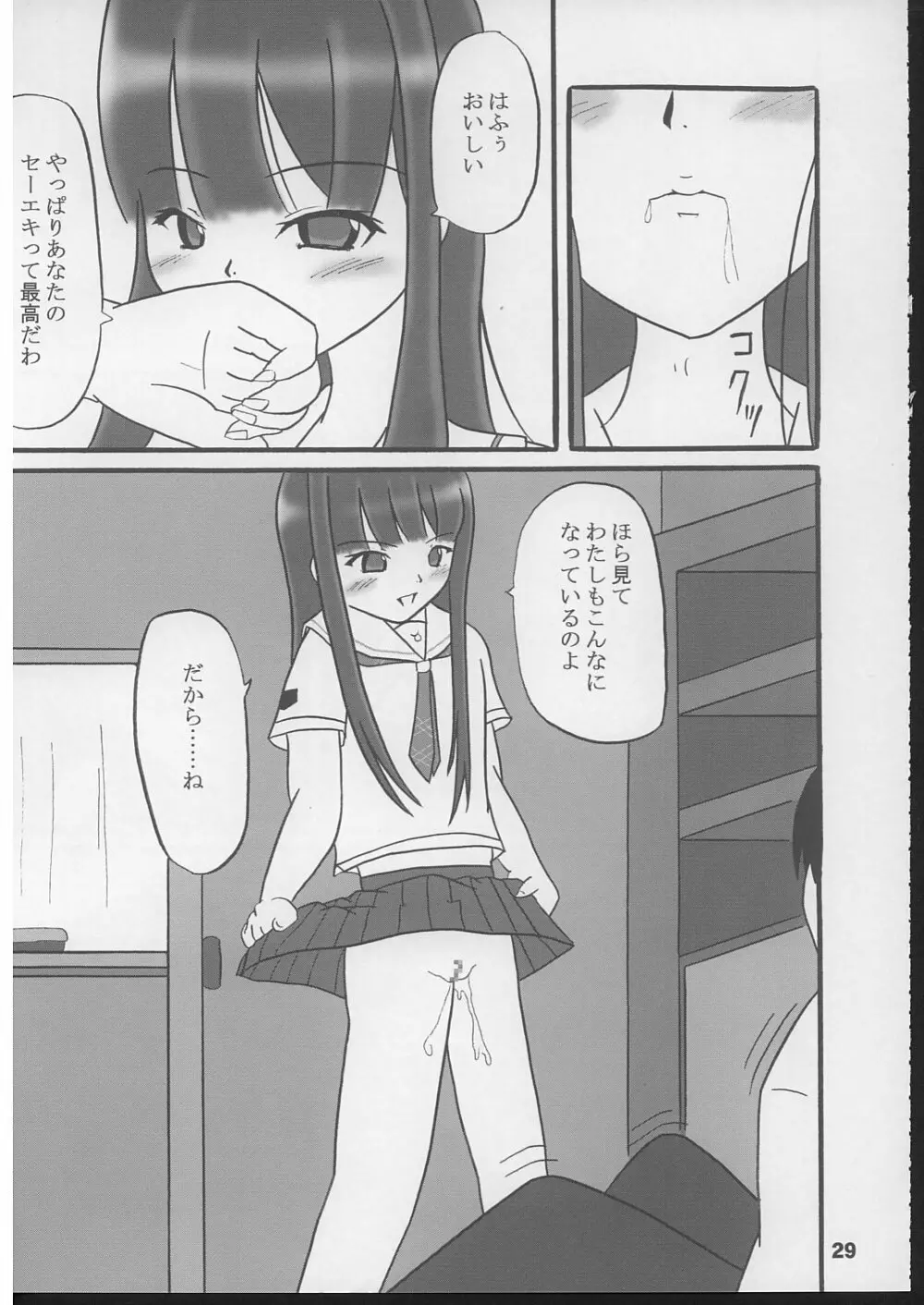 姫の素 28ページ