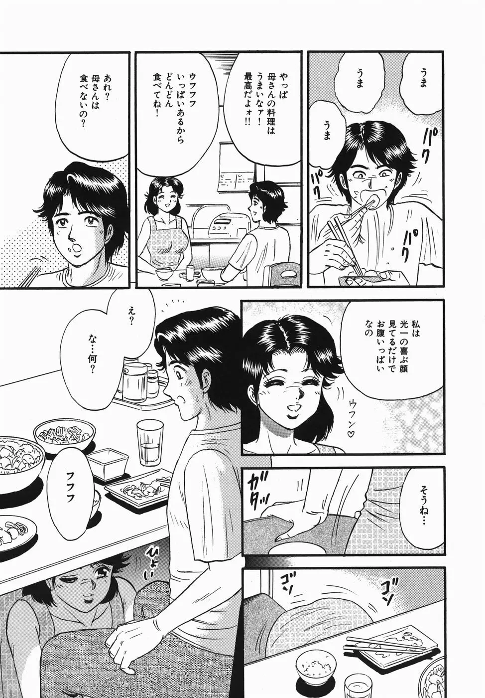 母と息子の情事 29ページ