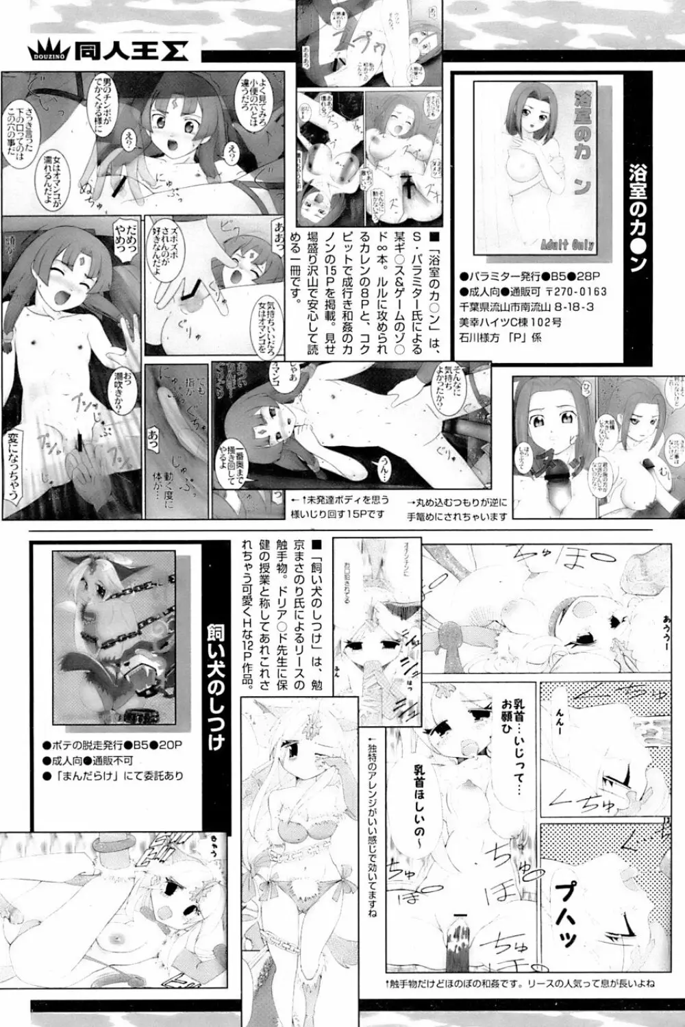 COMIC パピポ 2007年3月号 242ページ