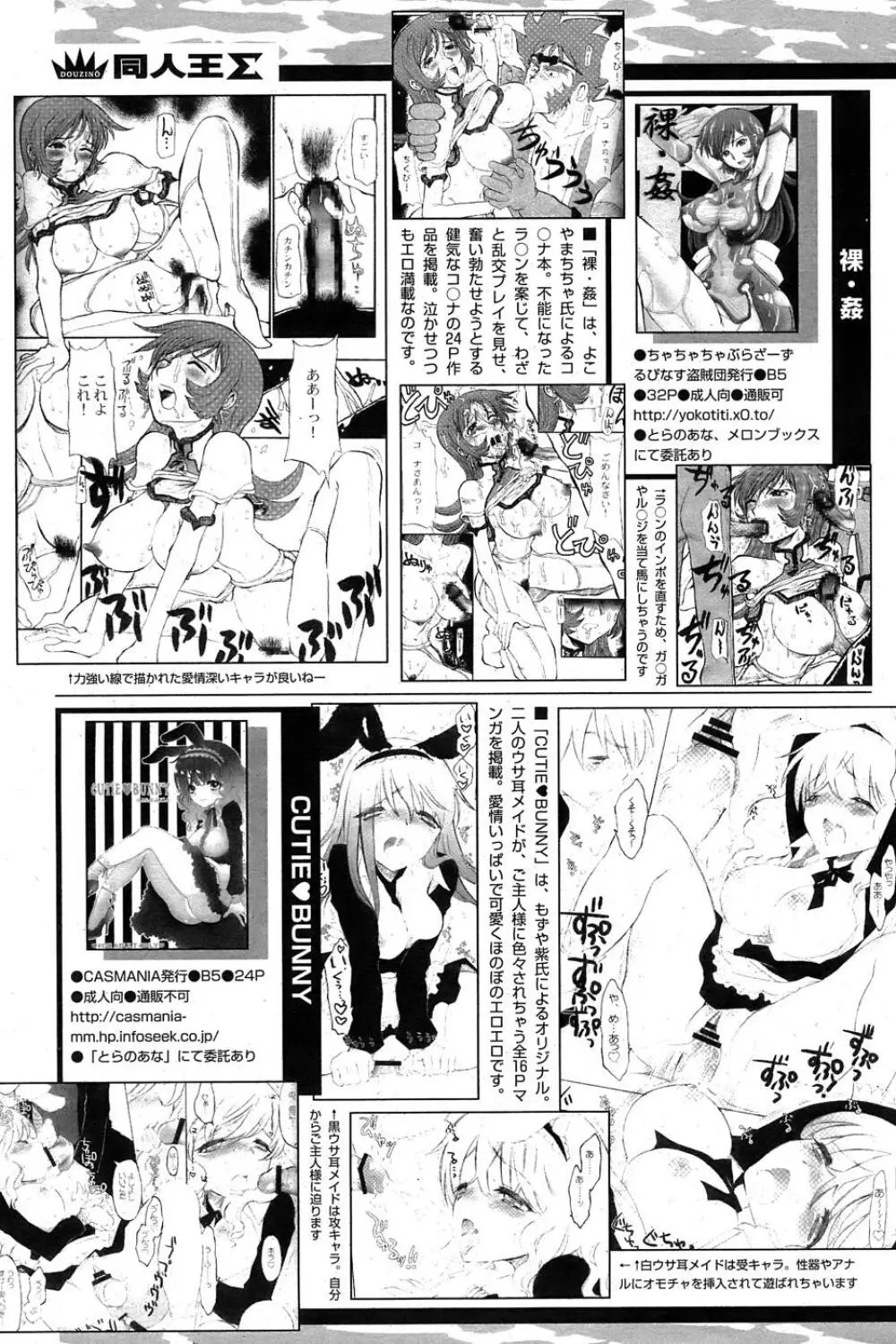 COMIC パピポ 2007年05月号 243ページ