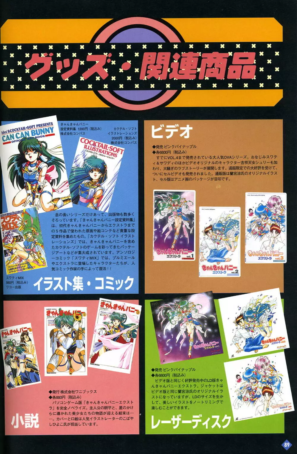 きゃんきゃんバニー プルミエール２攻略&設定資料集 90ページ