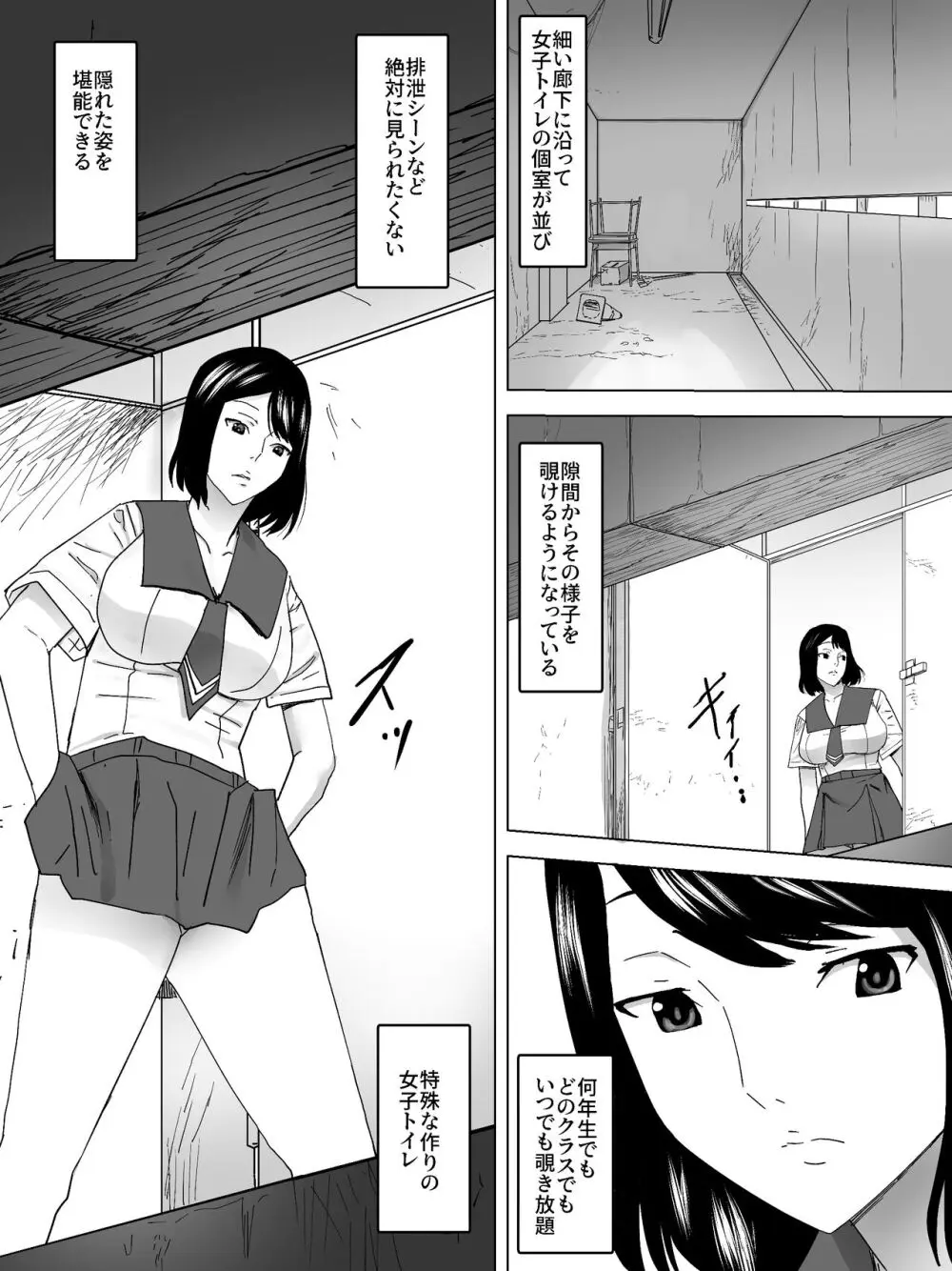 のぞき公認女子便所 3ページ