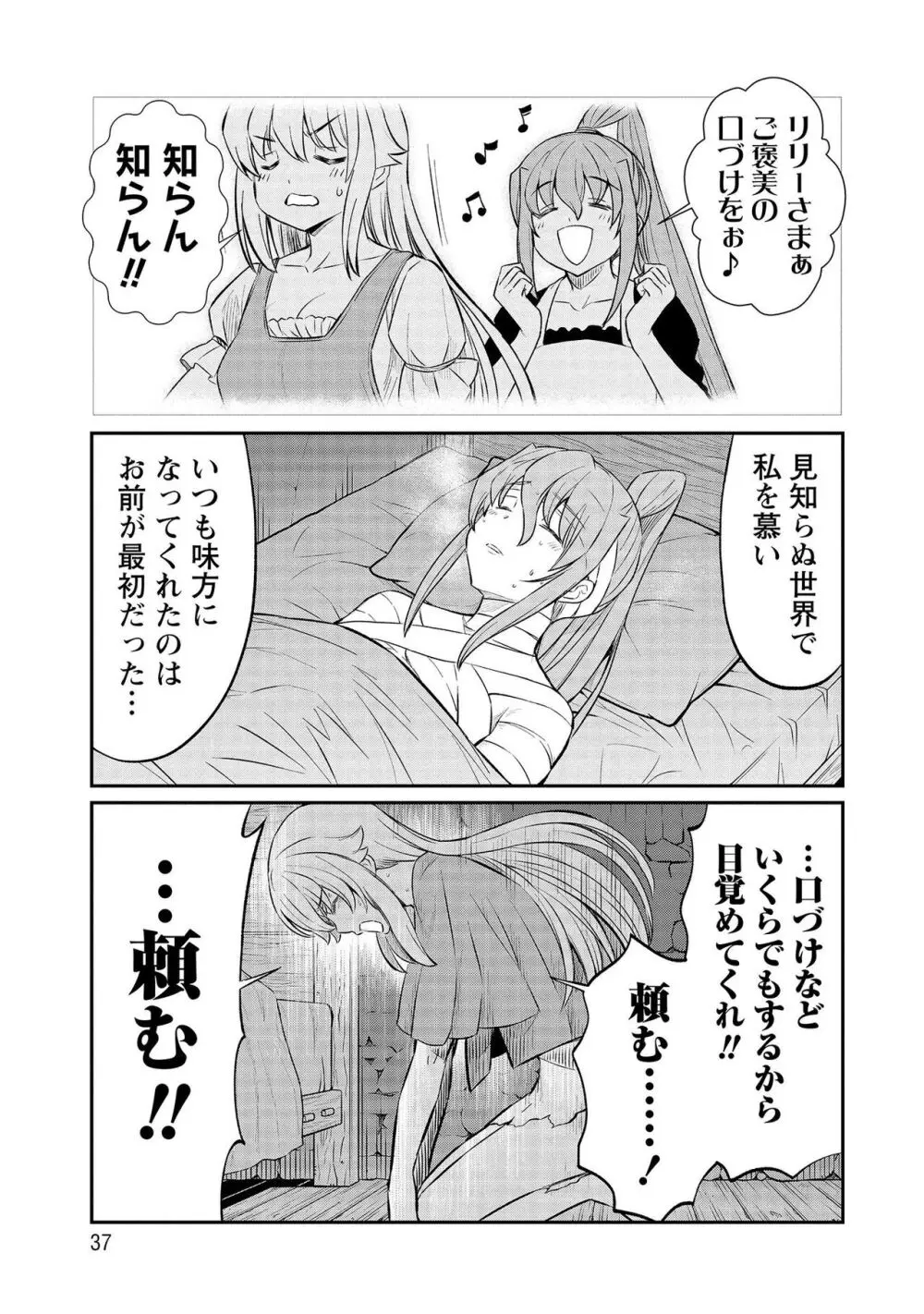 くっ殺せの姫騎士となり、百合娼館で働くことになりました。【電子限定特典付き】 3 37ページ