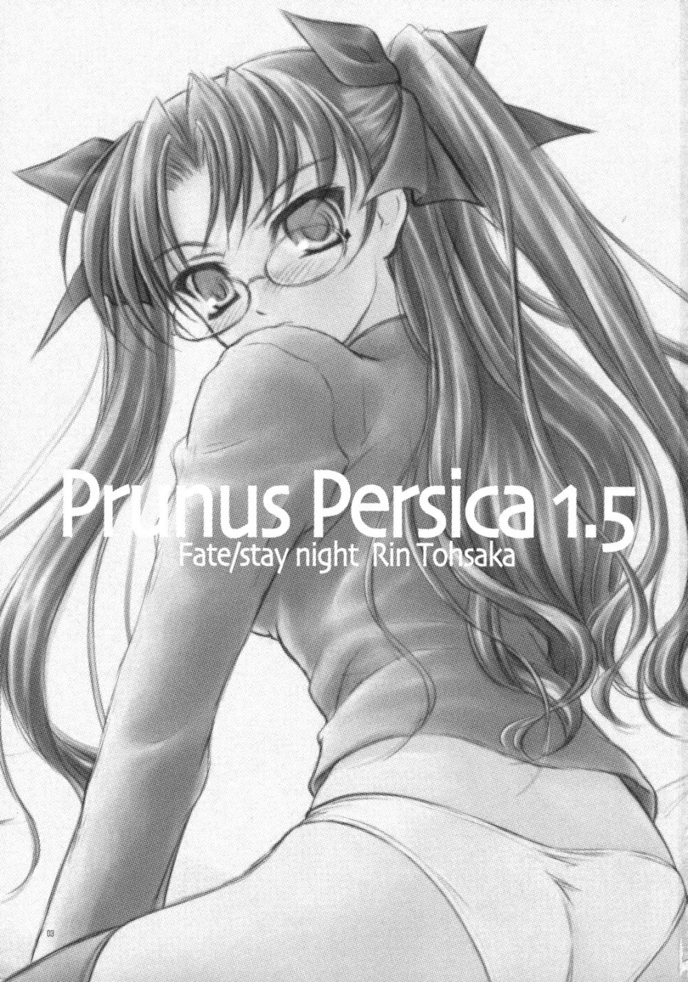 Prunus Persica 1.5 2ページ