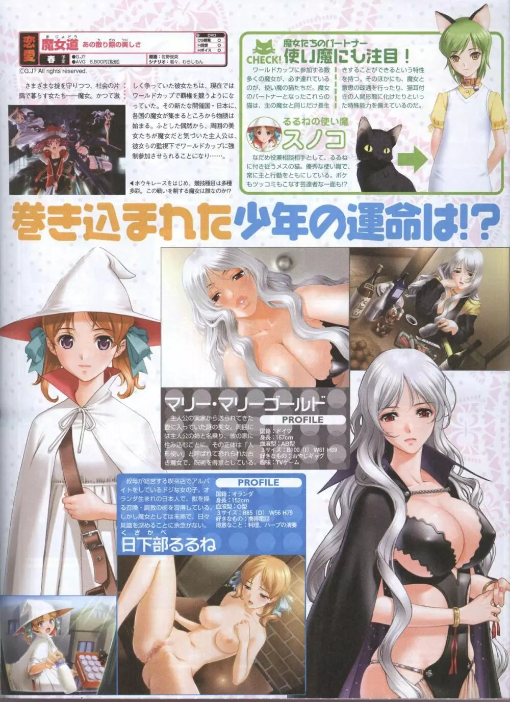 電撃姬2008–04 77ページ