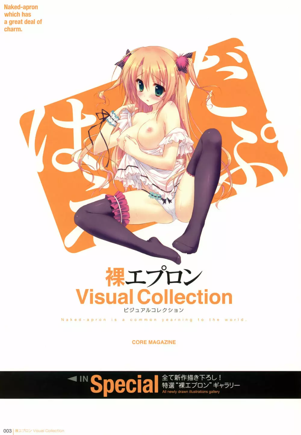 裸エプロン Visual Collection 3ページ