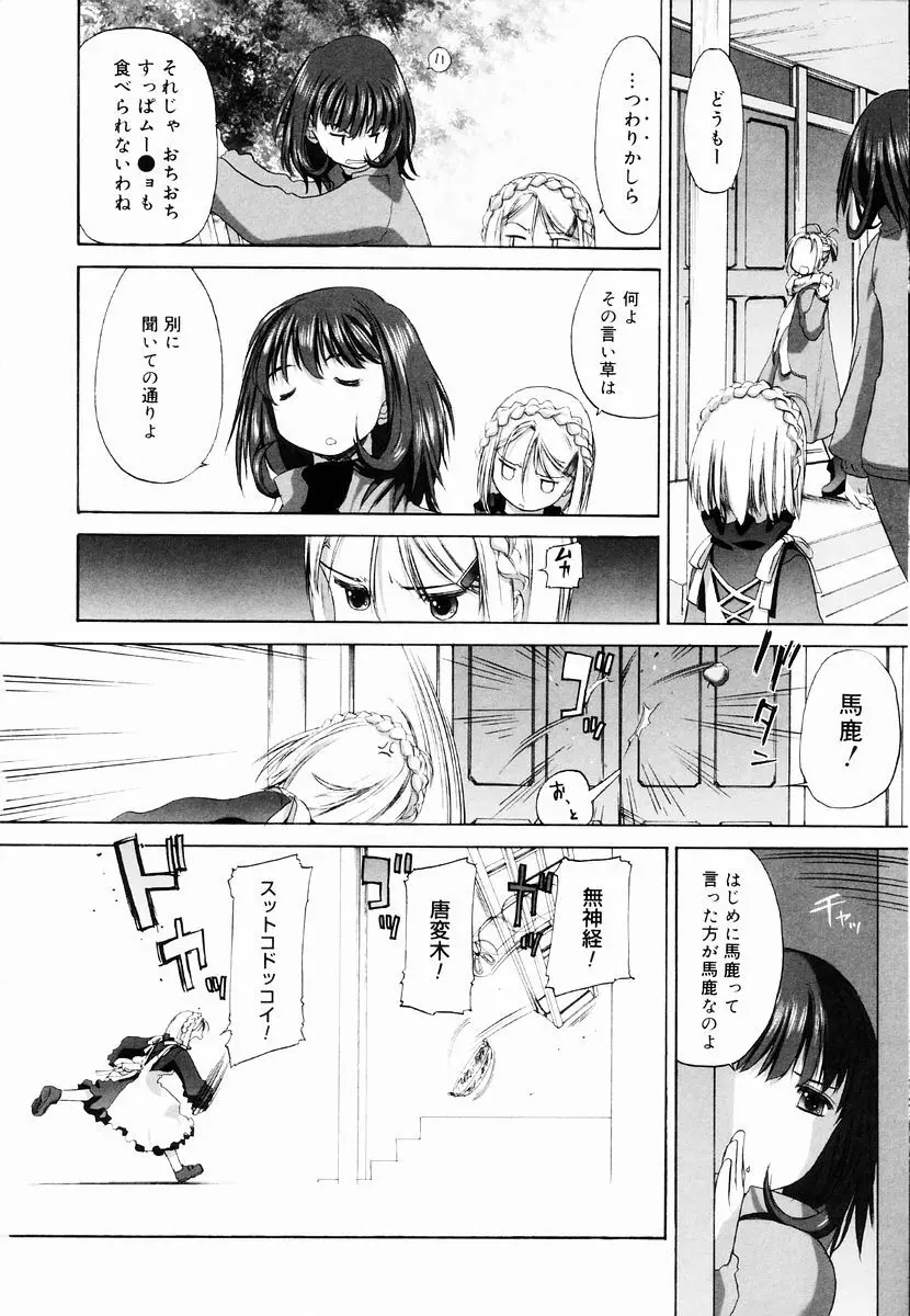 少女セクト + 虎の穴配布ペーパー 110ページ