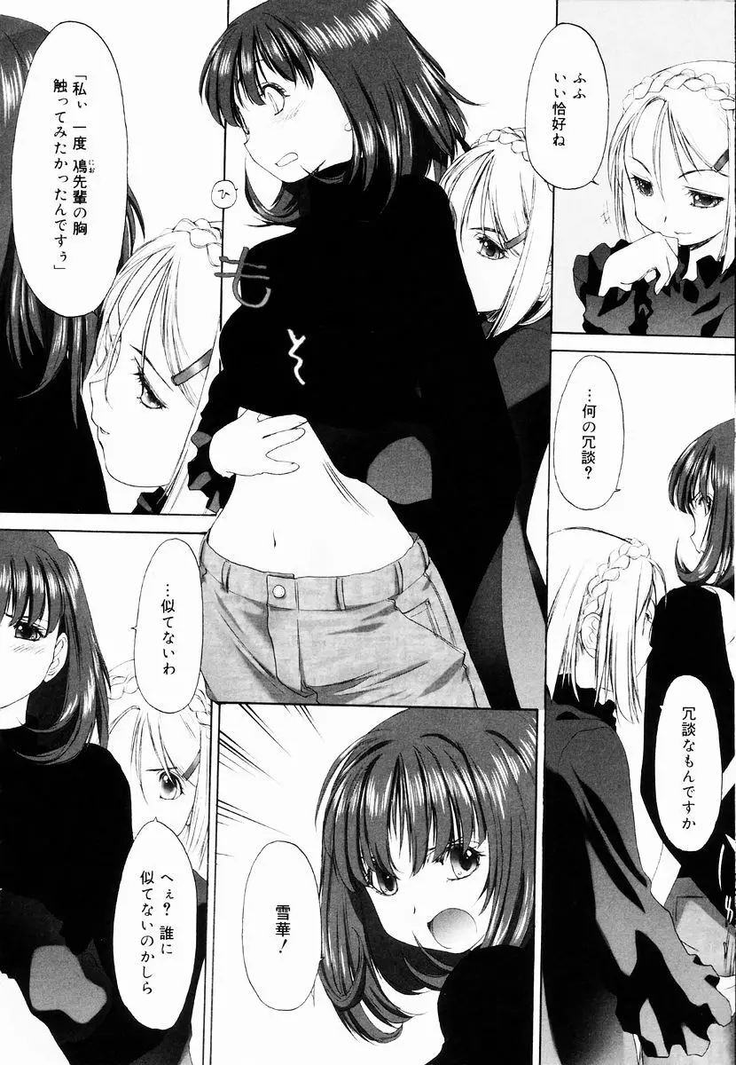 少女セクト + 虎の穴配布ペーパー 114ページ