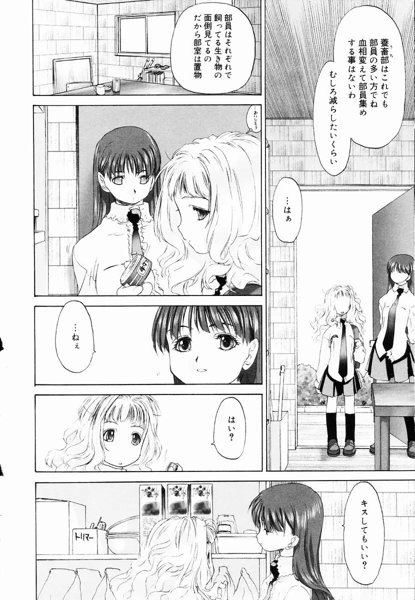 少女セクト + 虎の穴配布ペーパー 90ページ