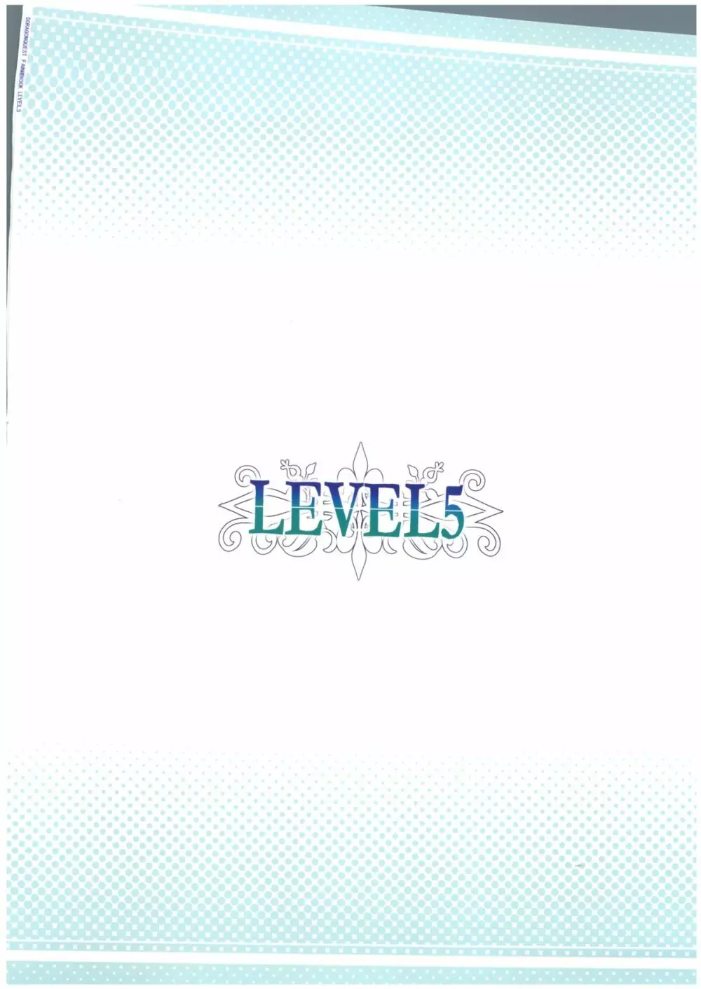 LEVEL5 30ページ