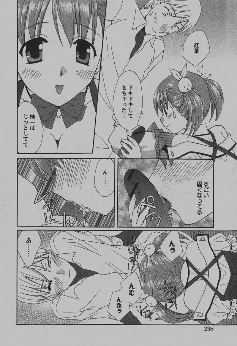 COMIC Hime Dorobou 2007-12 237ページ