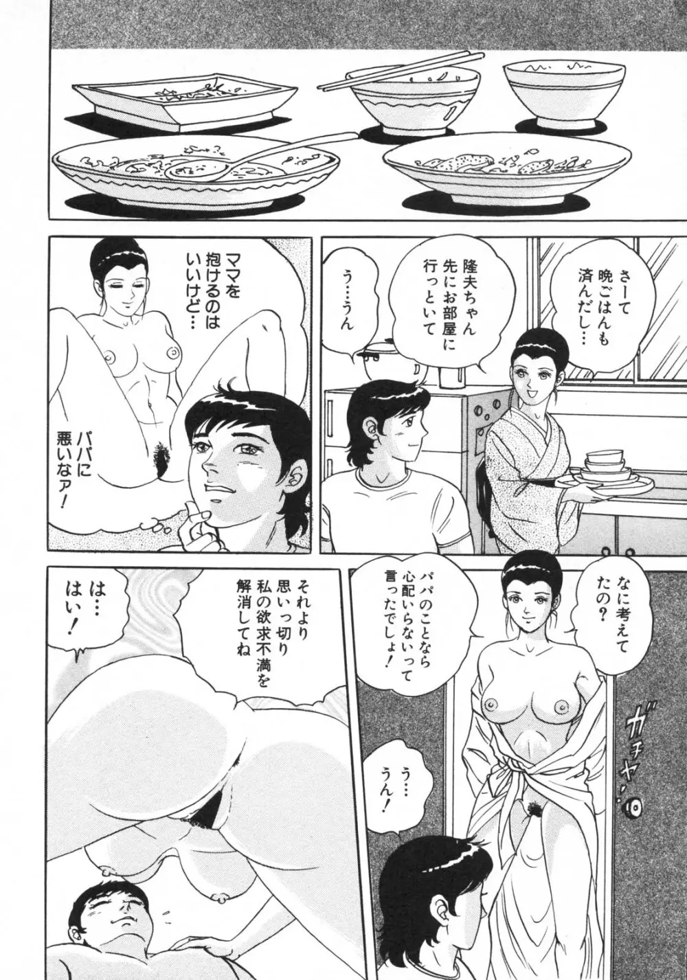 禁断姦淫 vol.15 母子姦姦 234ページ