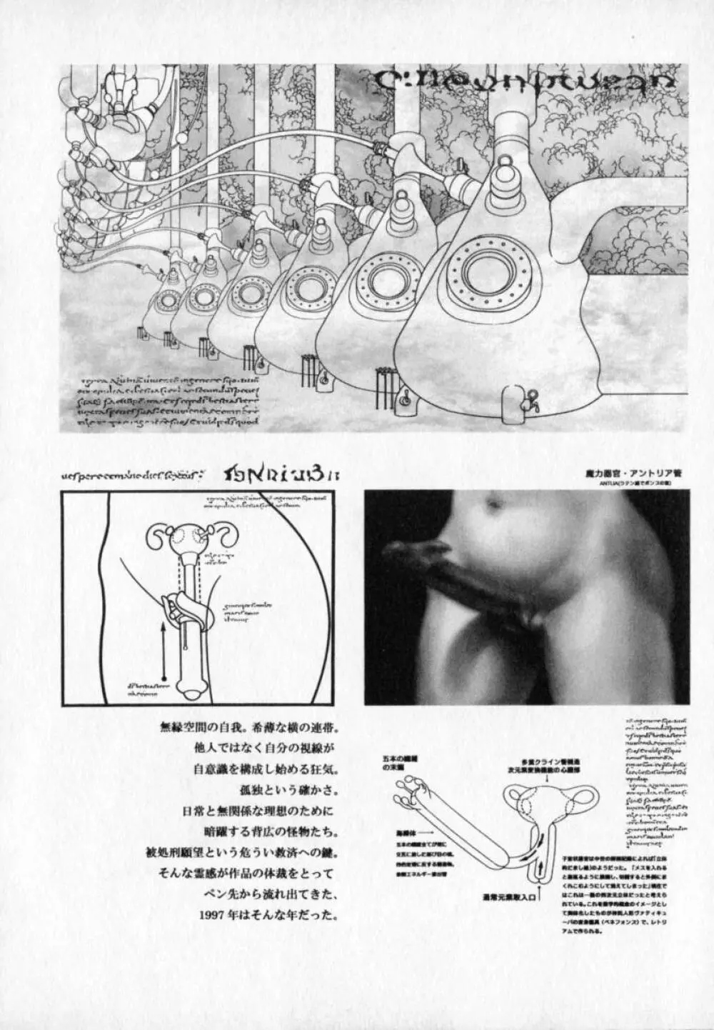 ベルジェフスカの城 163ページ