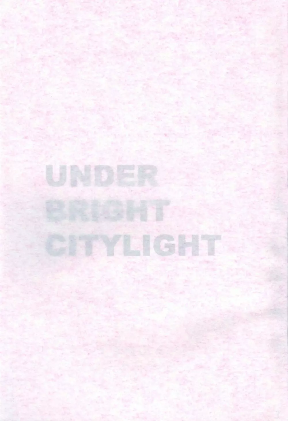 UNDER BRIGHT CITYLIGHT 2ページ