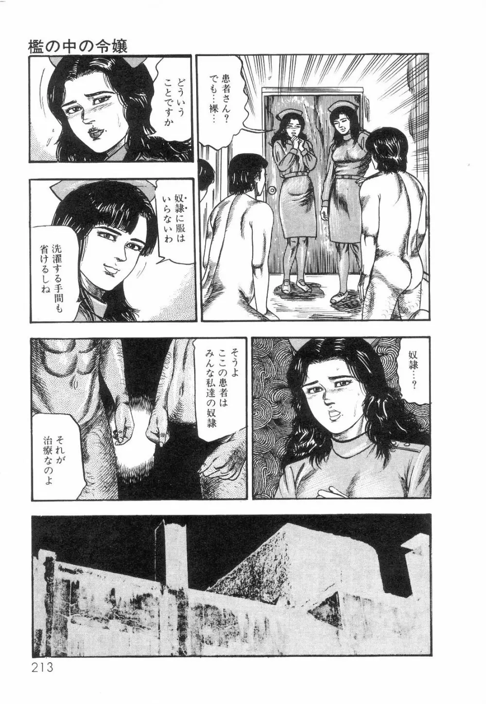 白の黙示録 第2巻 詩音凌辱の章 215ページ