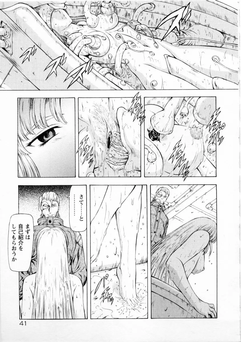 銀竜の黎明 VOL.2 45ページ