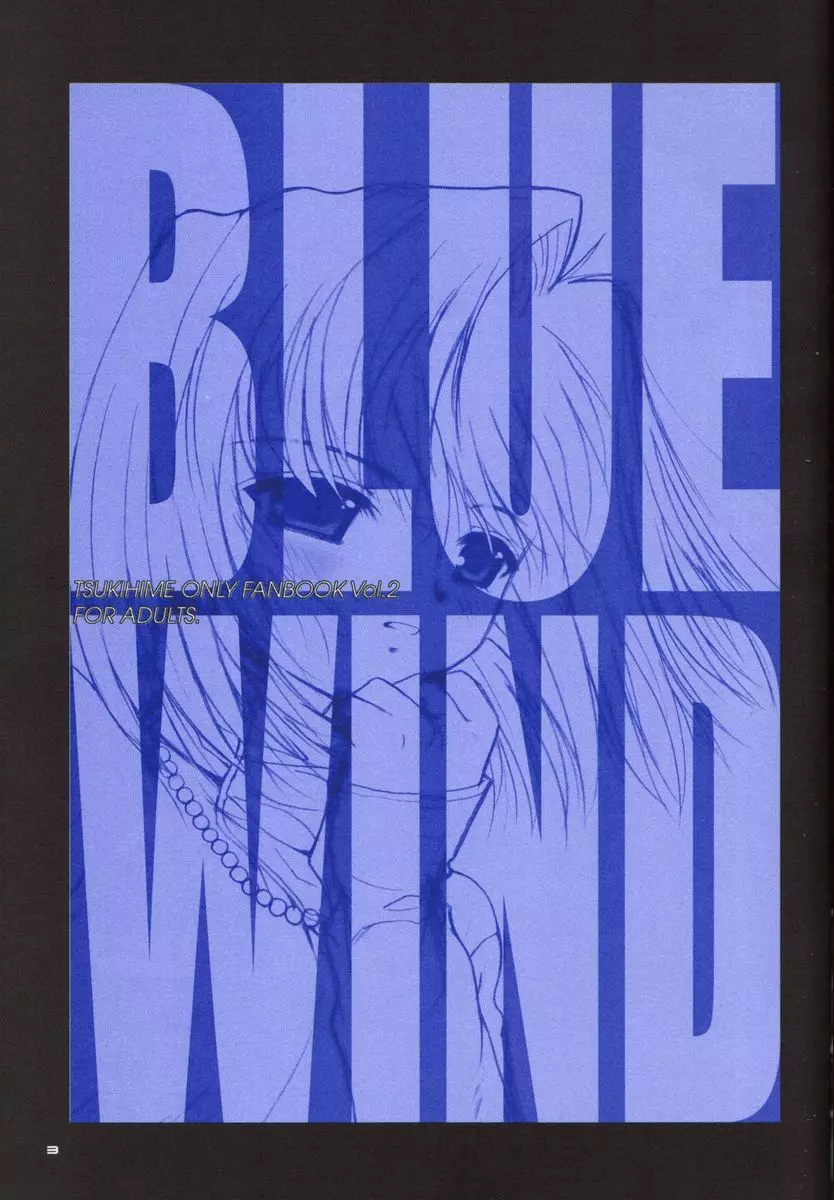 BLUE WIND 3ページ