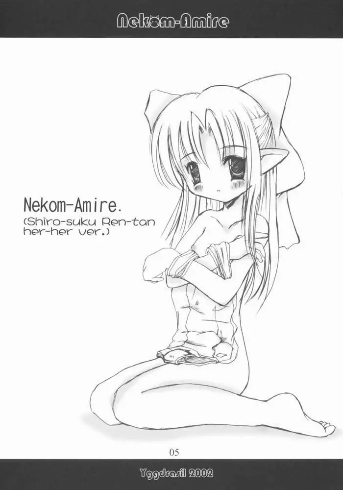 Nekom-Amire 2ページ