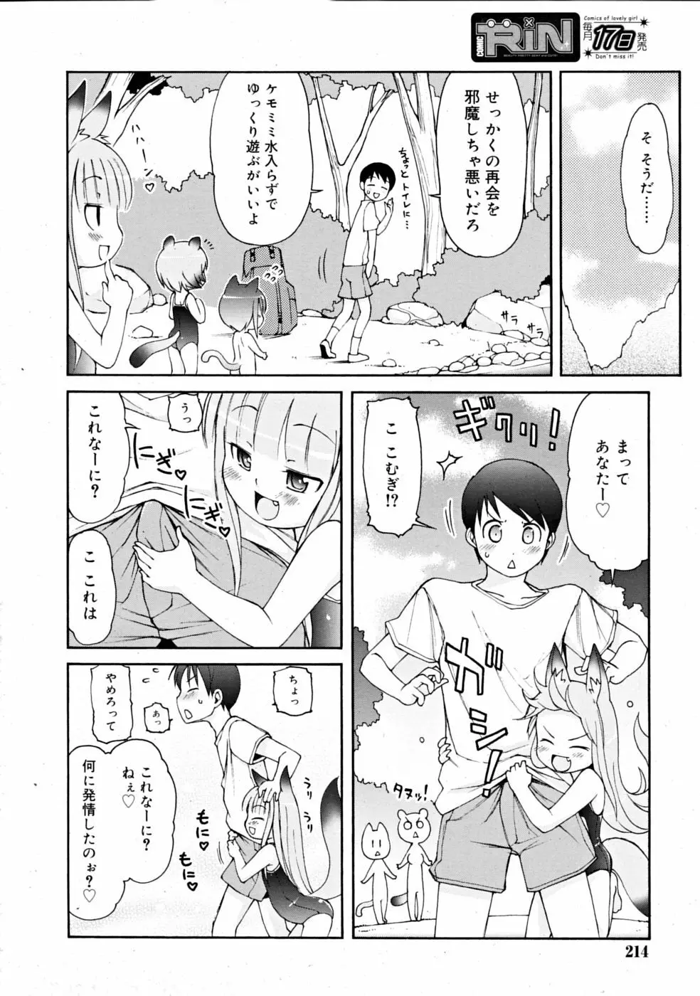 COMIC RiN [2008-11] Vol.47 214ページ