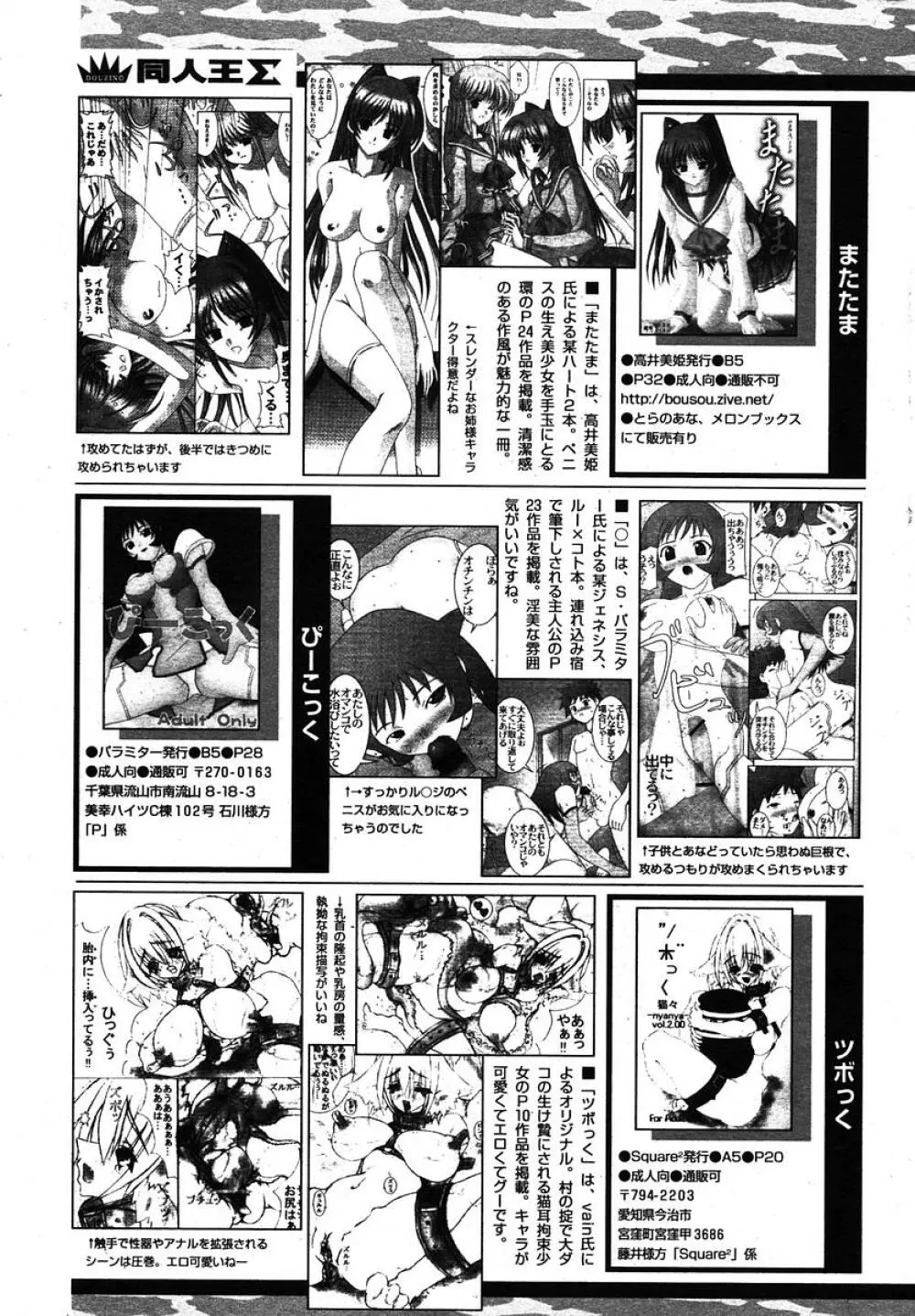 COMIC パピポ 2005年11月号 245ページ