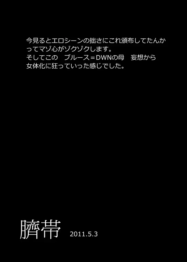 メタブルのエロ本２冊・他 85ページ