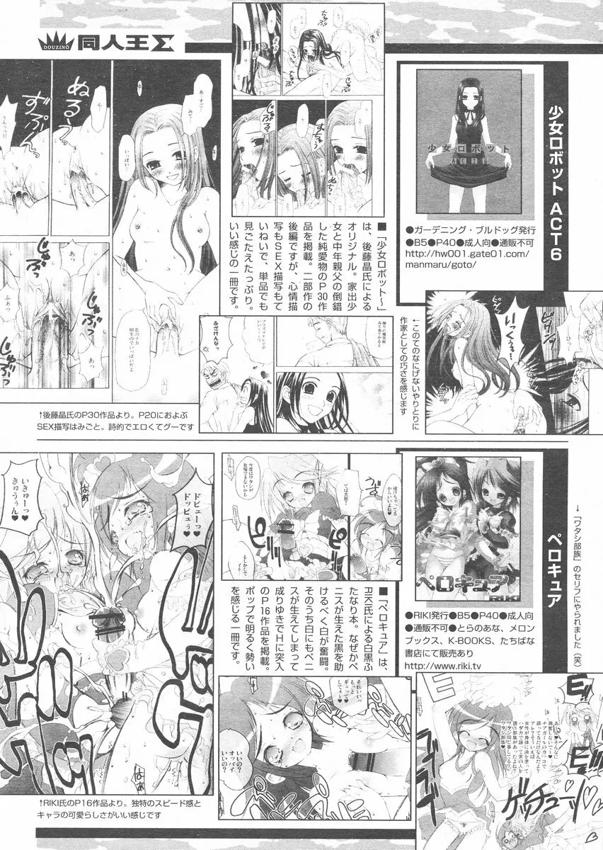 COMIC パピポ 2005年1月号 243ページ