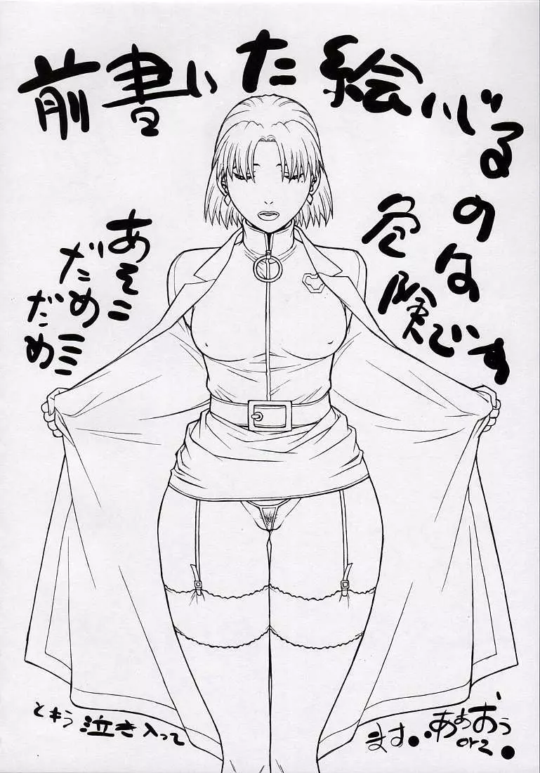 清域無き熟熟改革Ⅲ 30ページ