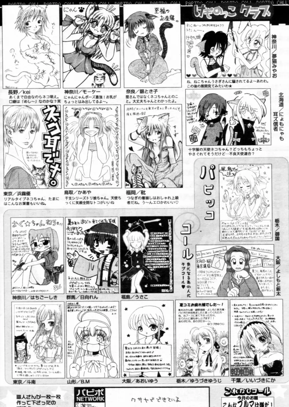 COMIC パピポ 2004年12月号 254ページ