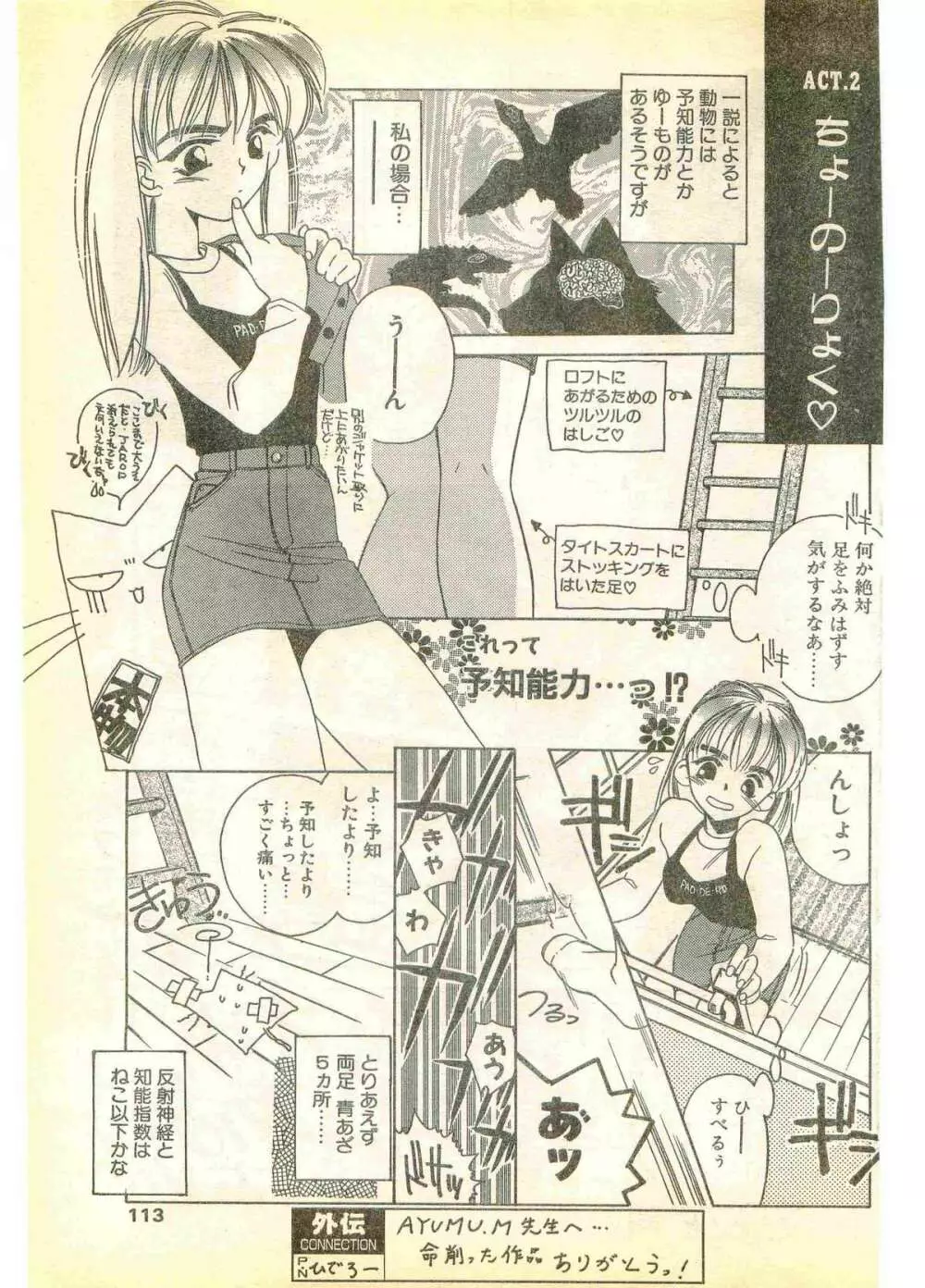 COMIC パピポ外伝 1995年11月号 Vol.17 113ページ