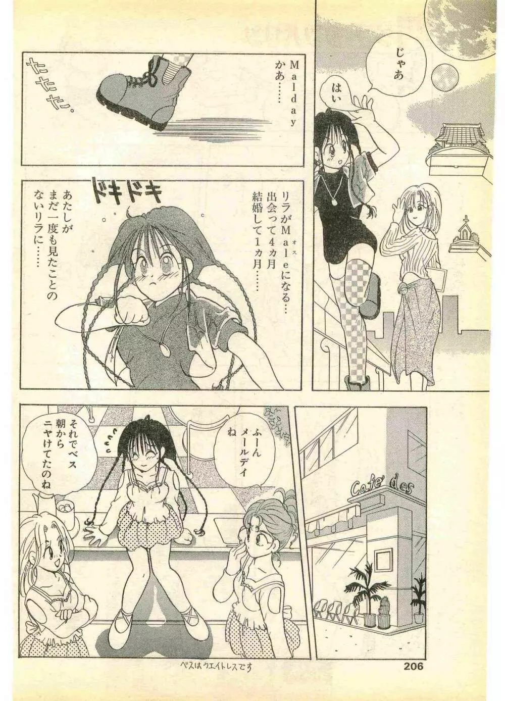 COMIC パピポ外伝 1995年11月号 Vol.17 206ページ