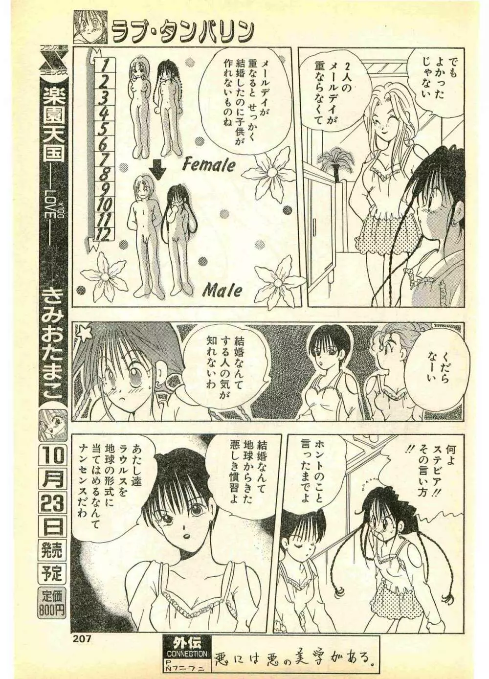 COMIC パピポ外伝 1995年11月号 Vol.17 207ページ