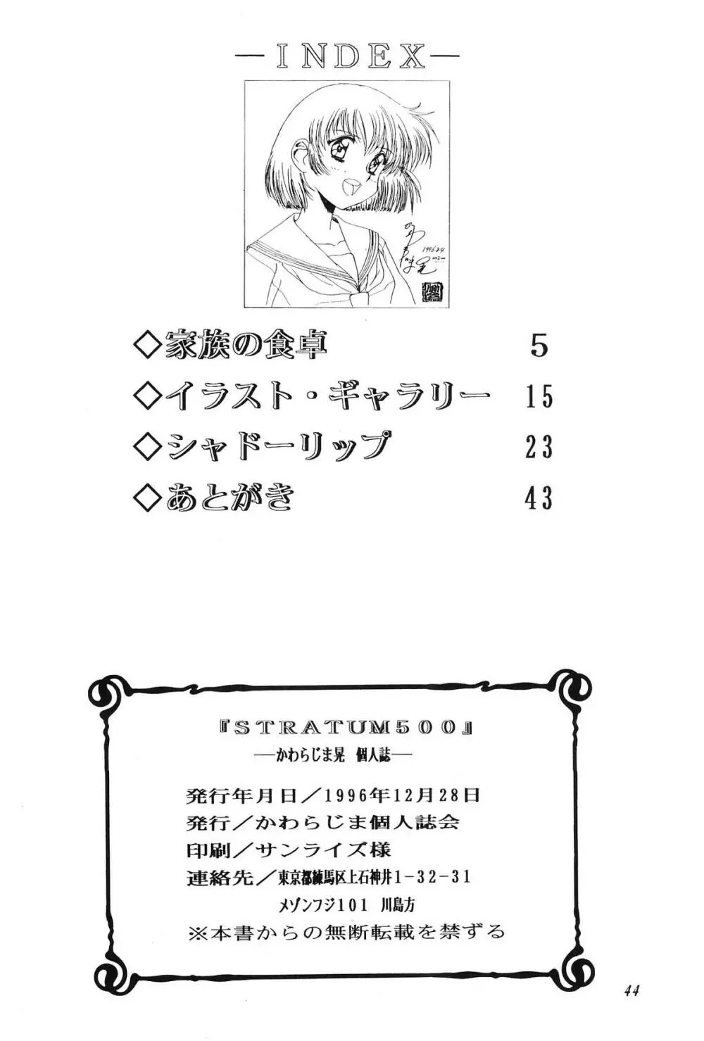 STRATUM 500 45ページ