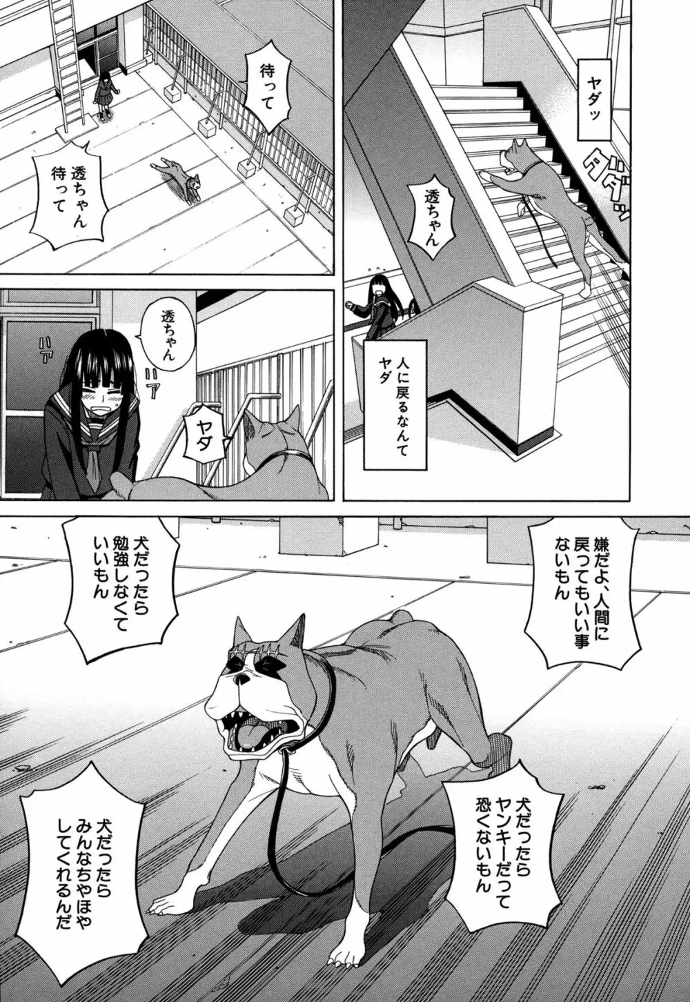 モテる犬の生きざま 183ページ