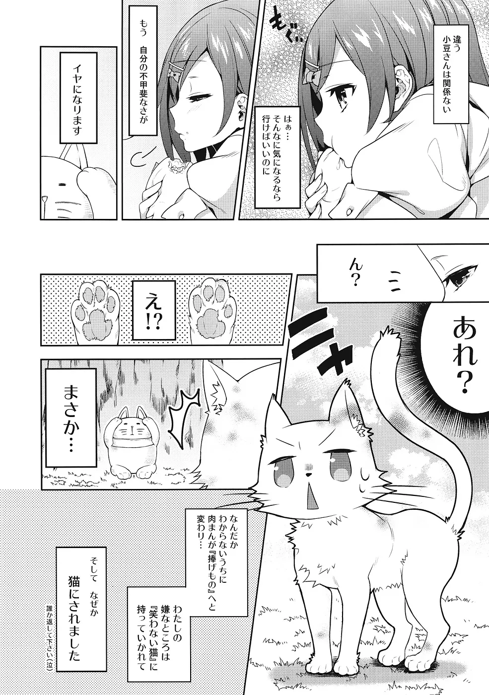 変態王子に犯された猫。 3ページ