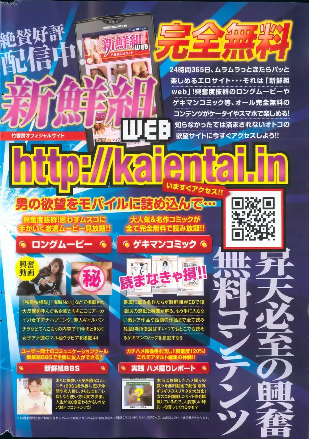 月刊 ビタマン 2013年4月号 264ページ