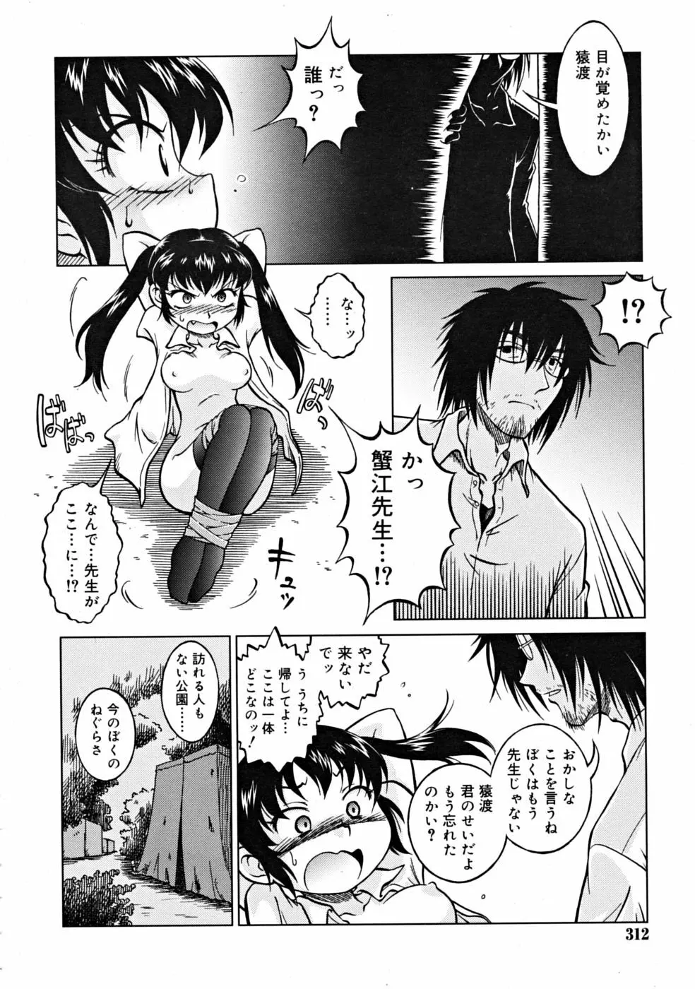 COMIC RiN [2008-10] Vol.46 312ページ