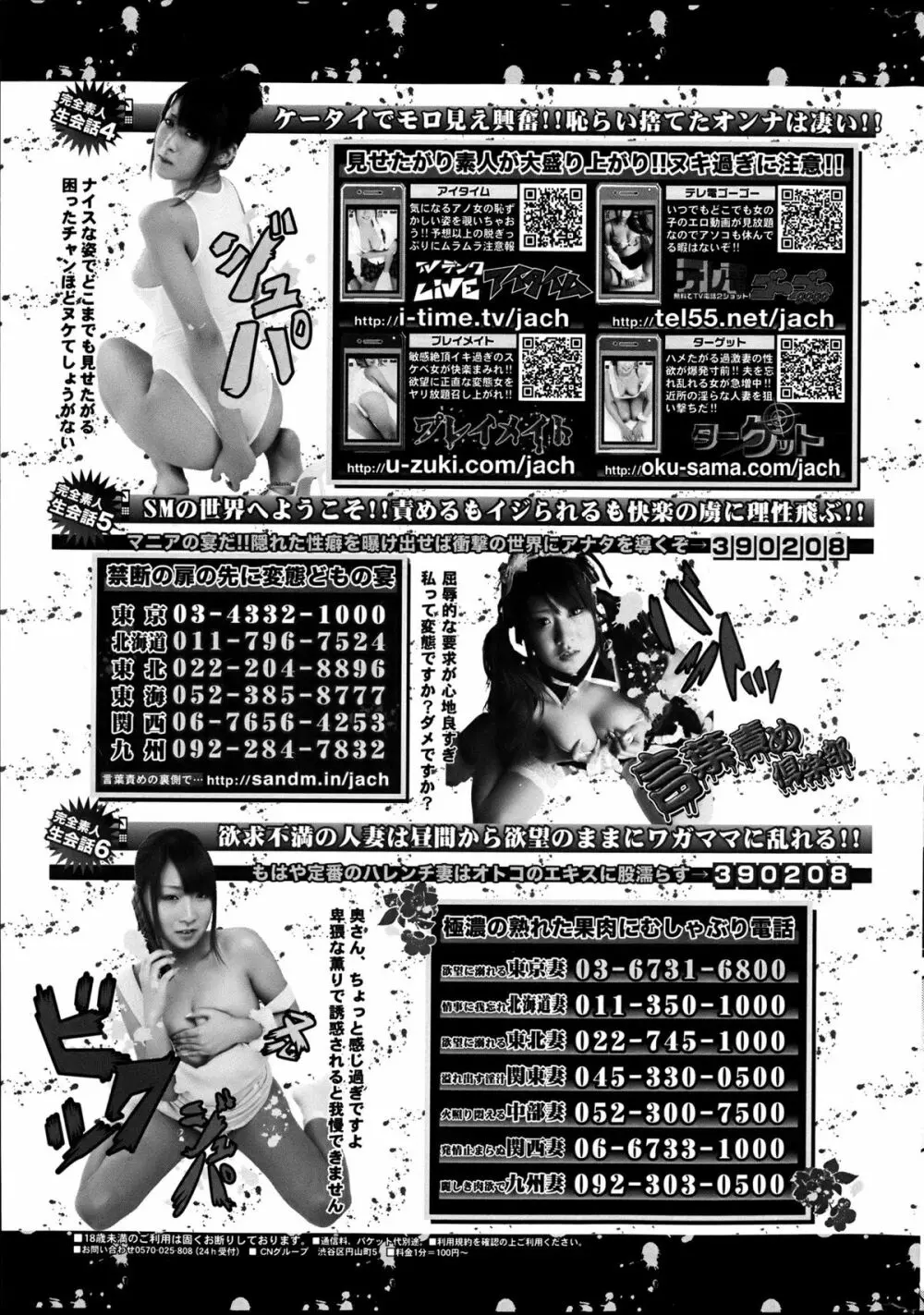 COMIC プルメロ 2013年6月号 206ページ